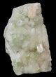 Lustrous Zoned Apophyllite Crystals with Stilbite - India #44353-1